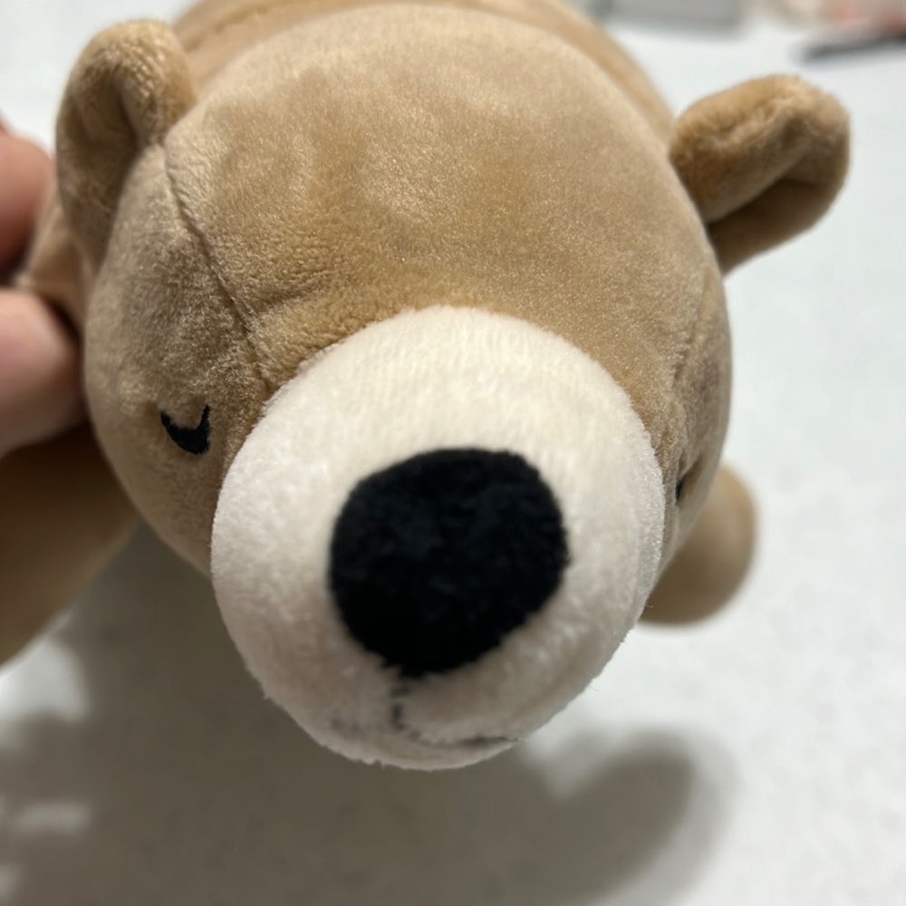 Stuffed Bear